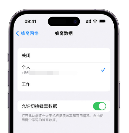 卢市镇苹果维修服务分享如何在iPhone上使用双卡 